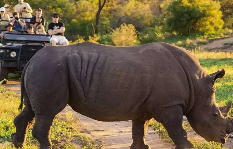Pacote de viagem Conhecendo a África do Sul