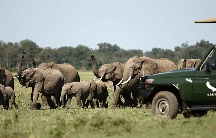Pacote de viagem Safari Fly to me Masai Mara