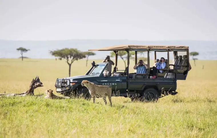 Pacote de viagem Safari Deluxe em Angama Mara