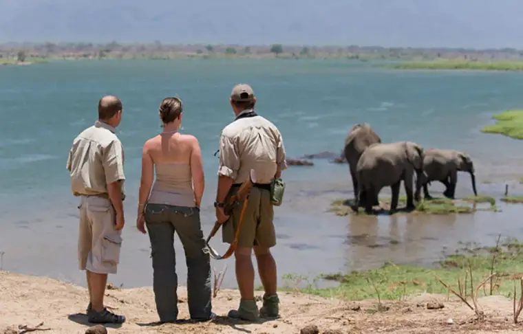 Pacote de viagem O Melhor do Zimbabwe com Safáris e Cataratas