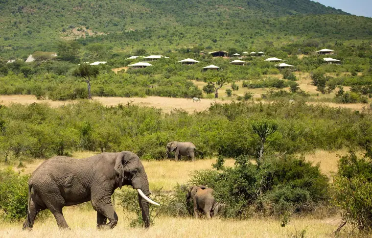 Pacote de viagem Safari Luxury no Mara Bushtops