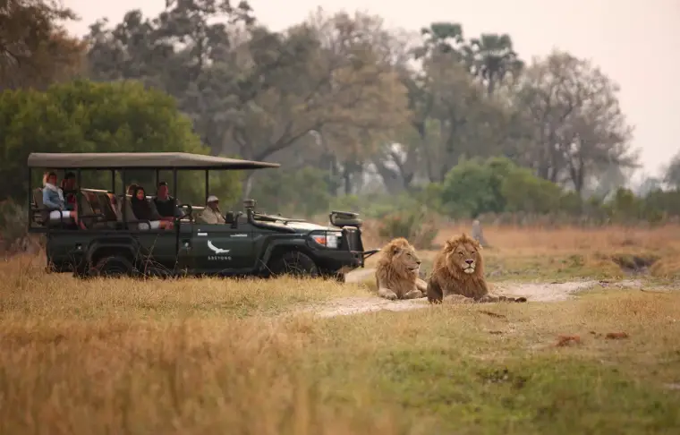 Pacote de viagem Zimbábue e Botswana Deluxe com Victoria Falls & Highlights