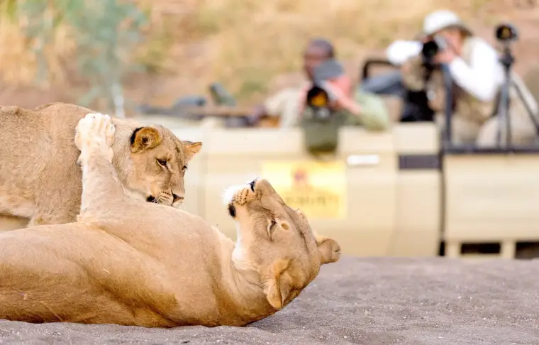 Pacote de viagem Sweet Taste of Botswana