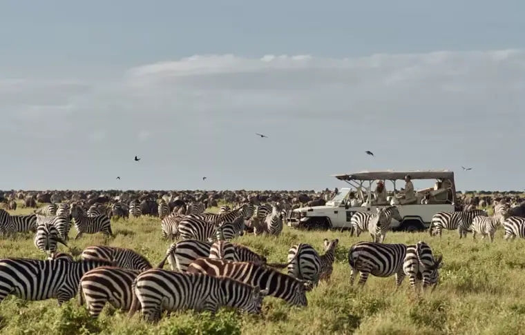 Pacote de viagem Quênia e Tanzânia e Santuários da África Oriental