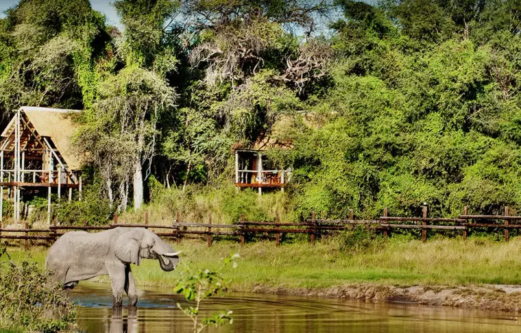 Pacote de viagem Botswana & África do Sul