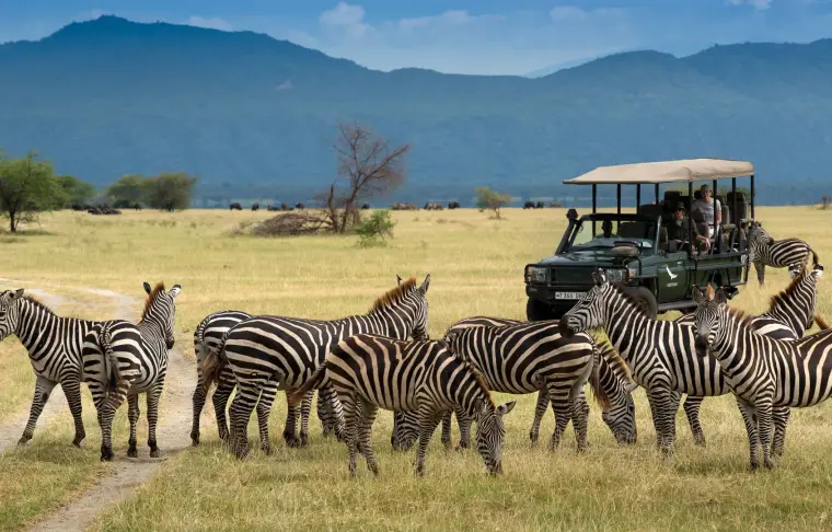 Pacote de viagem Descubra a diversidade na África Oriental