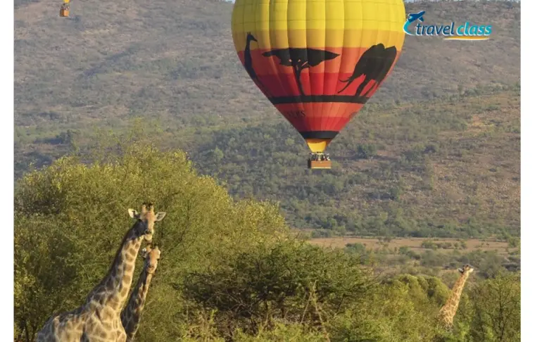 Pacote de viagem Sun City and Safari Experience