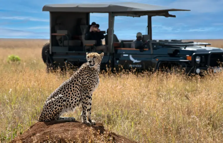 Pacote de viagem Quênia