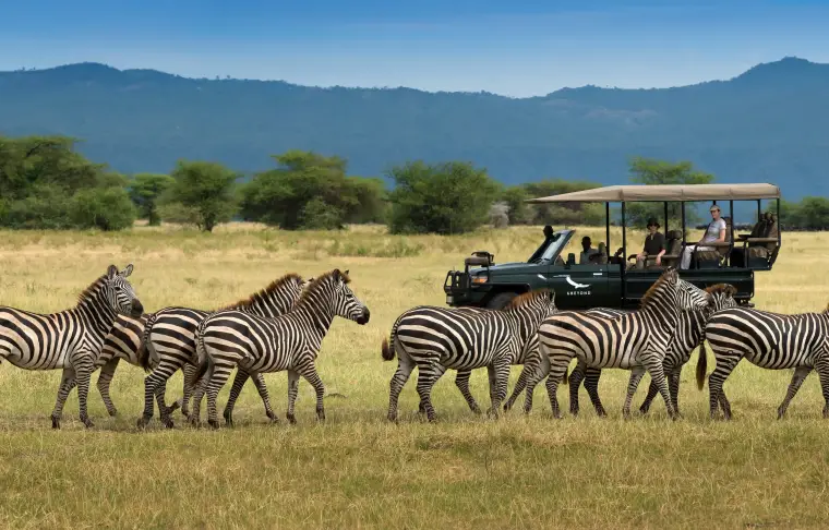 Pacote de viagem Tanzânia