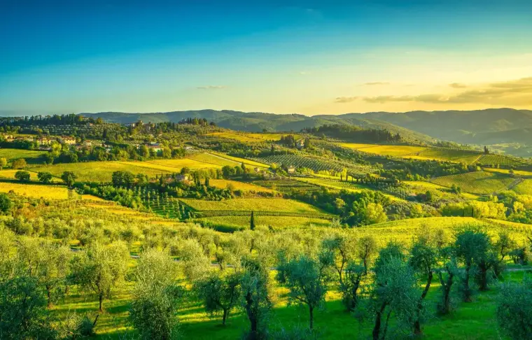 Pacote de viagem Toscana Enogastronômica Dinâmica