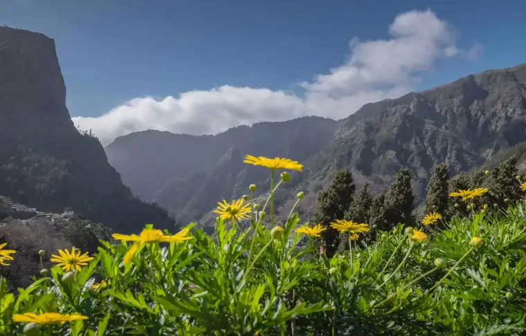 Pacote de viagem Madeira e Lisboa