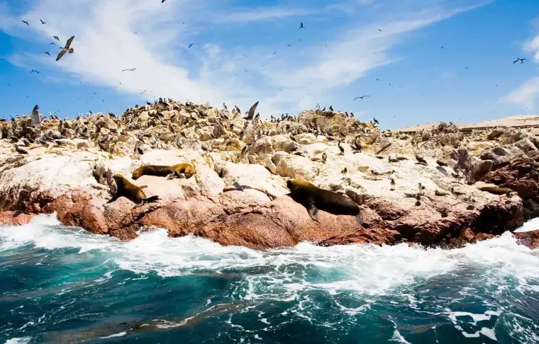 Pacote de viagem Impressionante Sul Peruano