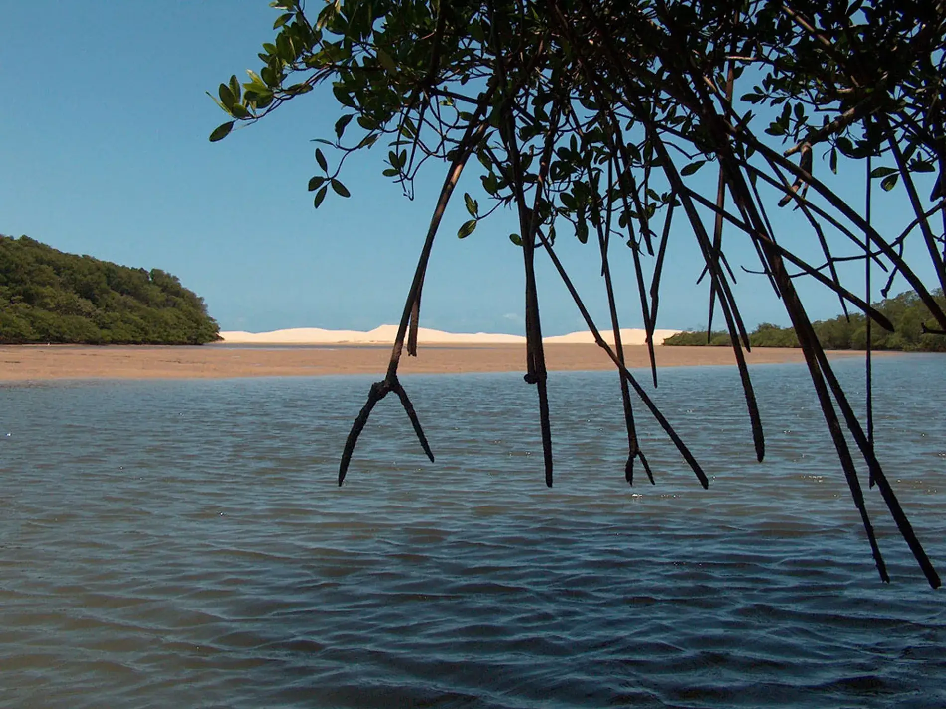 Rota das Emoções