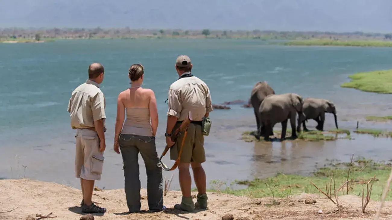 Pacote de viagem O Melhor do Zimbabwe com Safáris e Cataratas