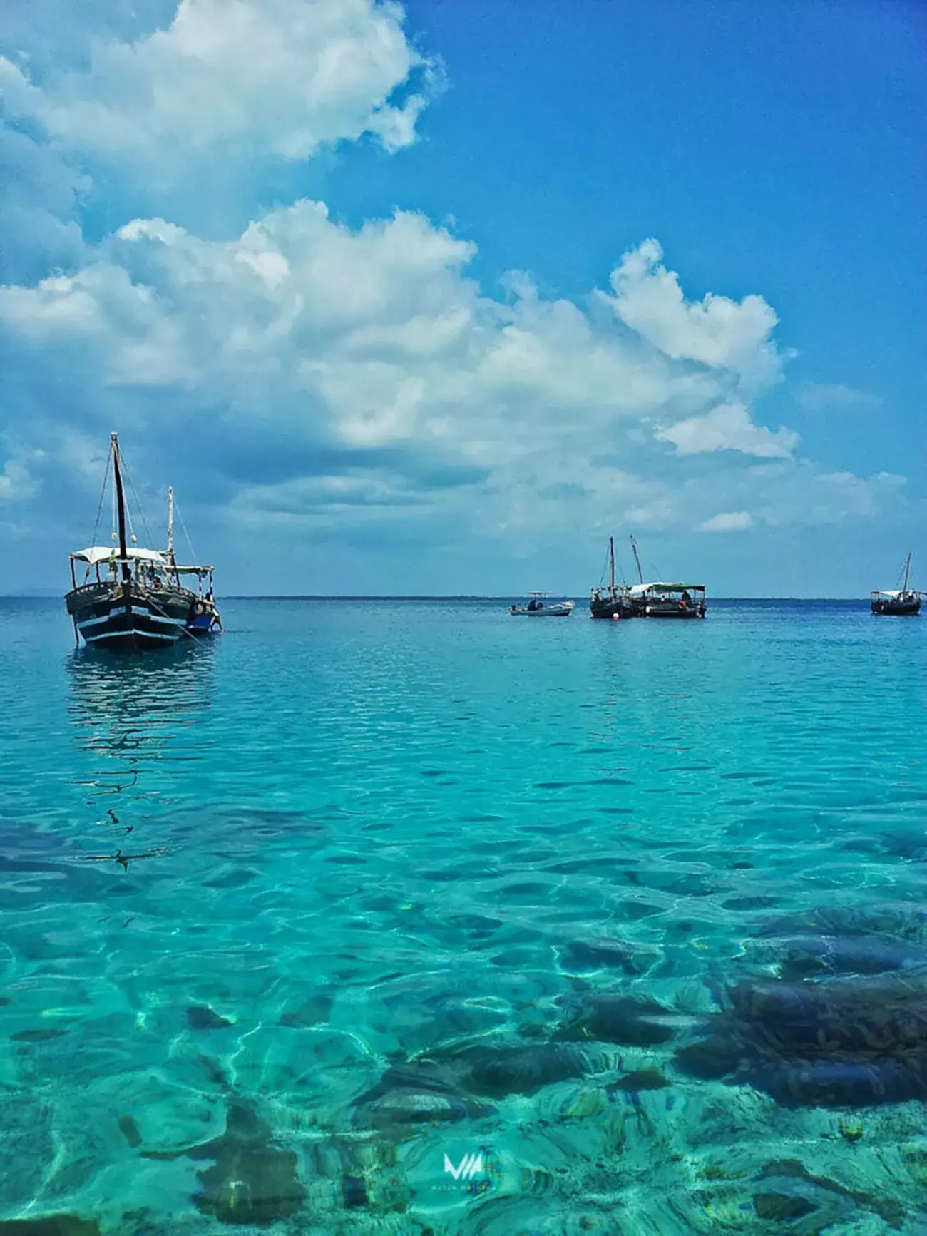 Aventura no Masai Mara e Diani Beach