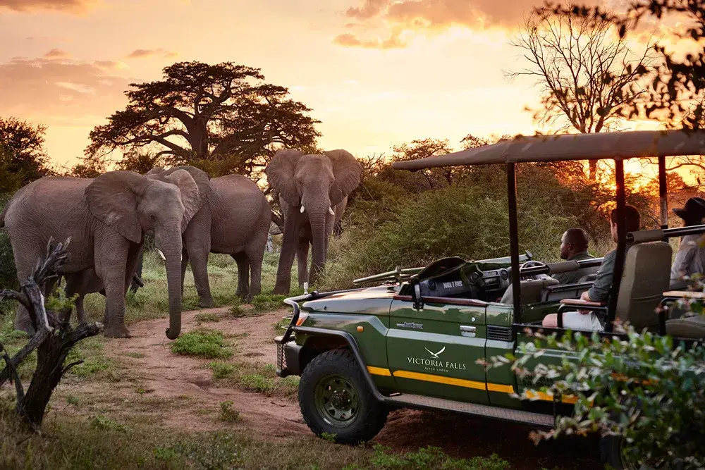 África do Sul, Botswana e Zimbabwe