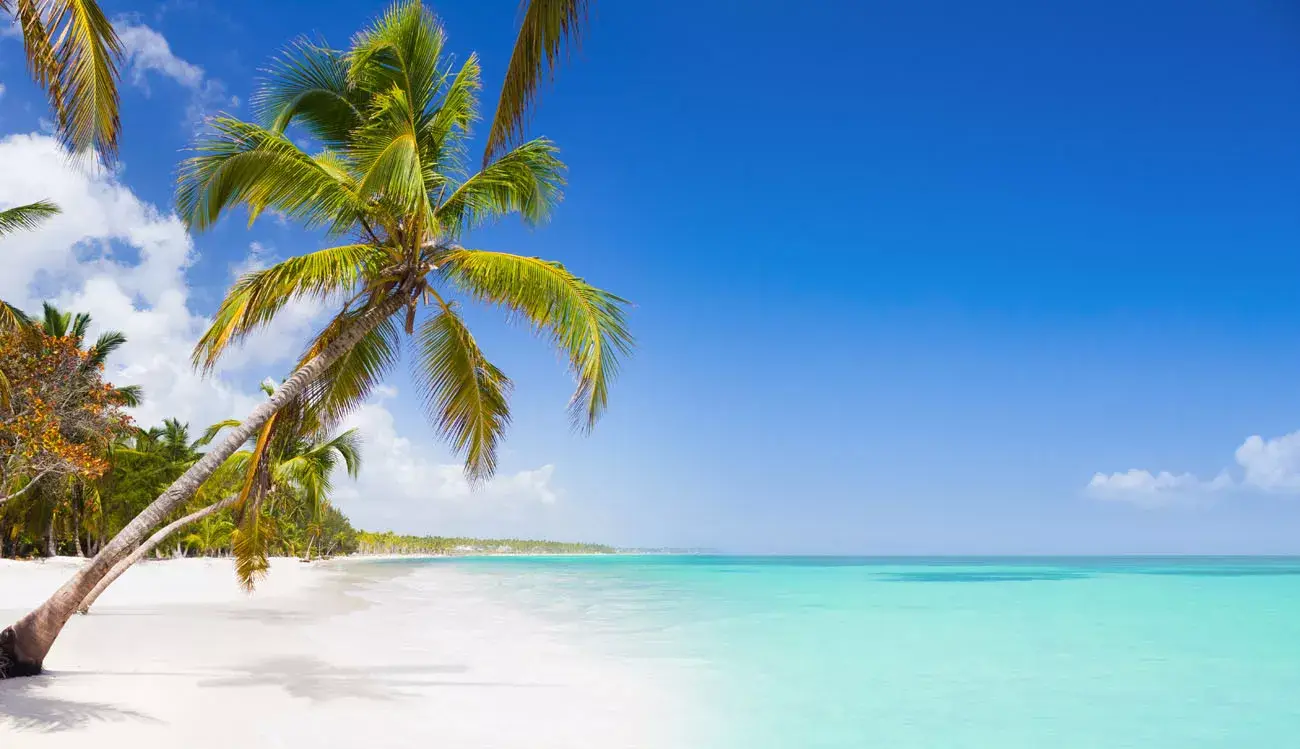 Pacote de viagem Punta Cana Saindo de Brasília