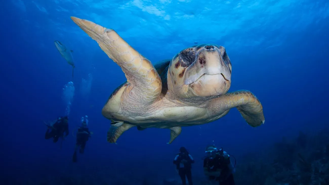 Belize