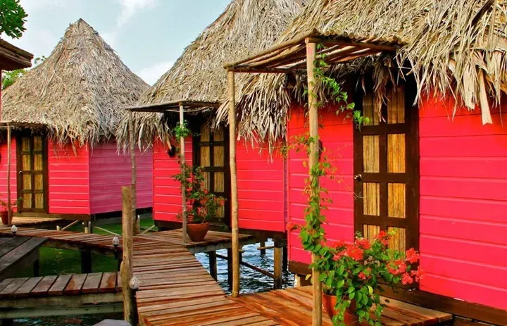 Pessoa em camelo no deserto