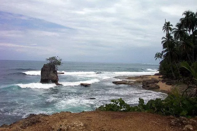 gandoca manzan illo - Bocas del Toro