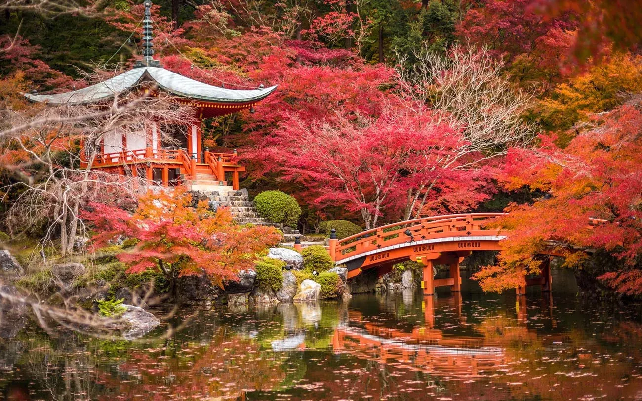 Os Jardins de Kioto