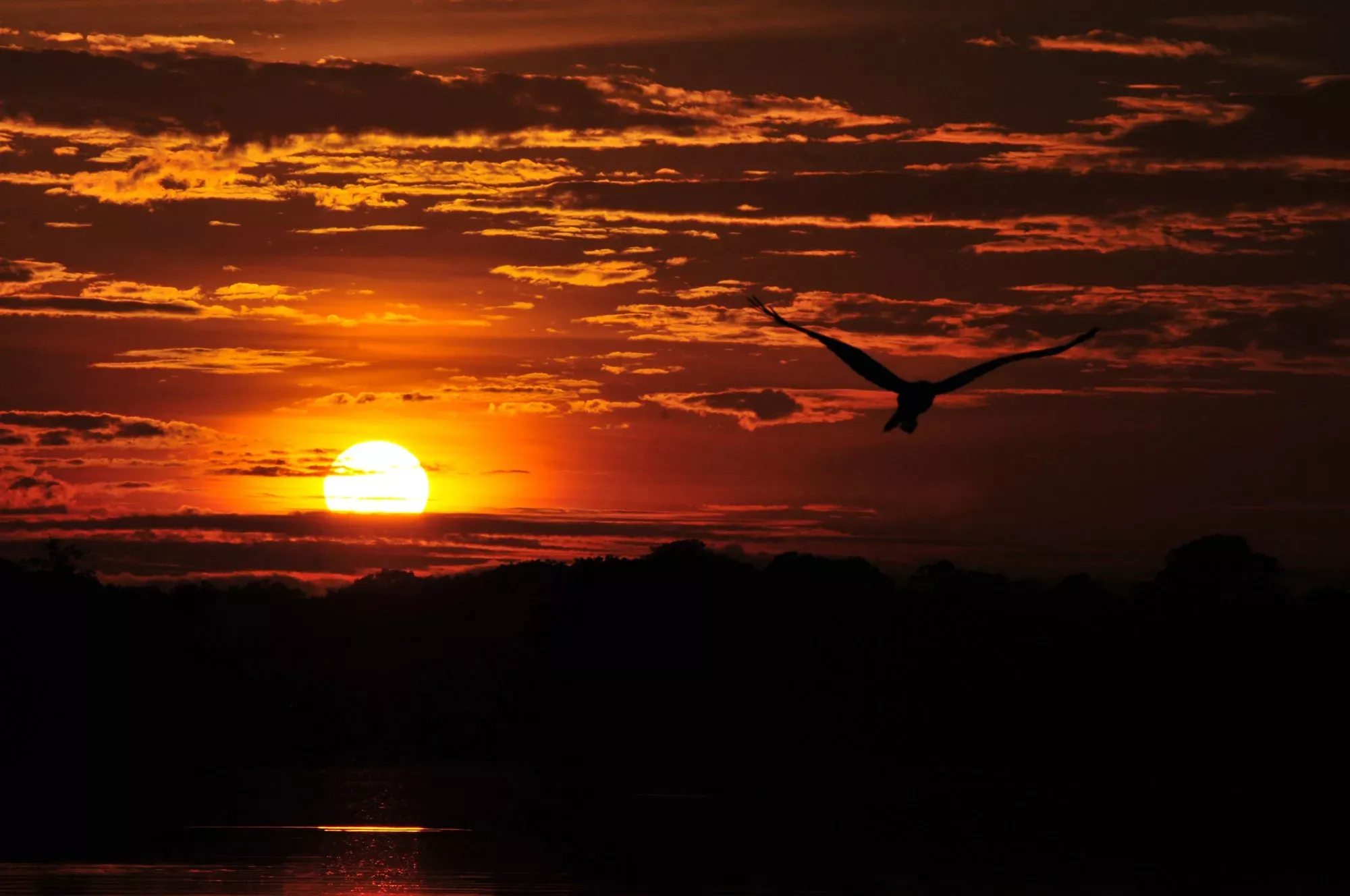 Juma Amazon Lodge 