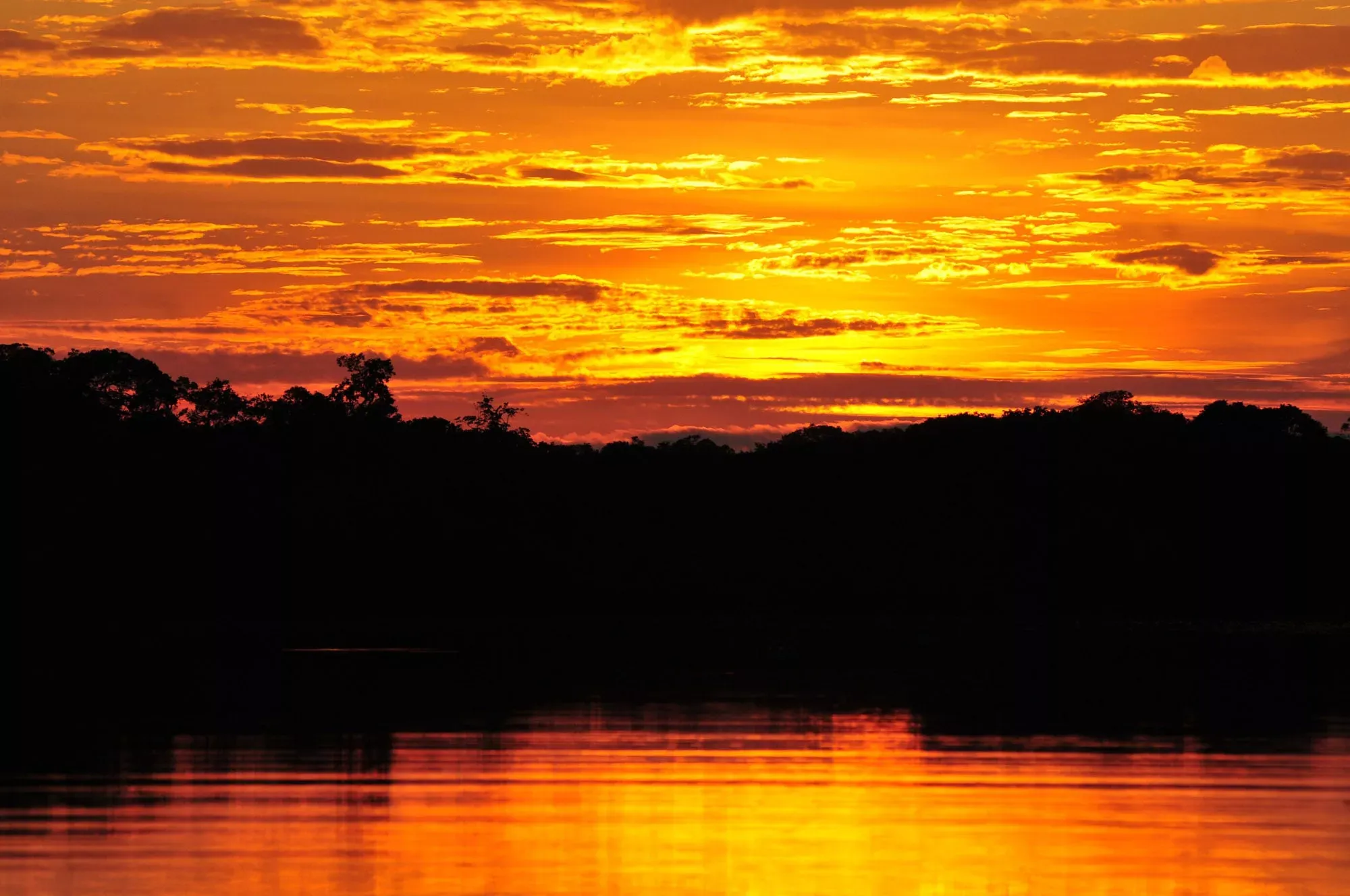 Juma Amazon Lodge 