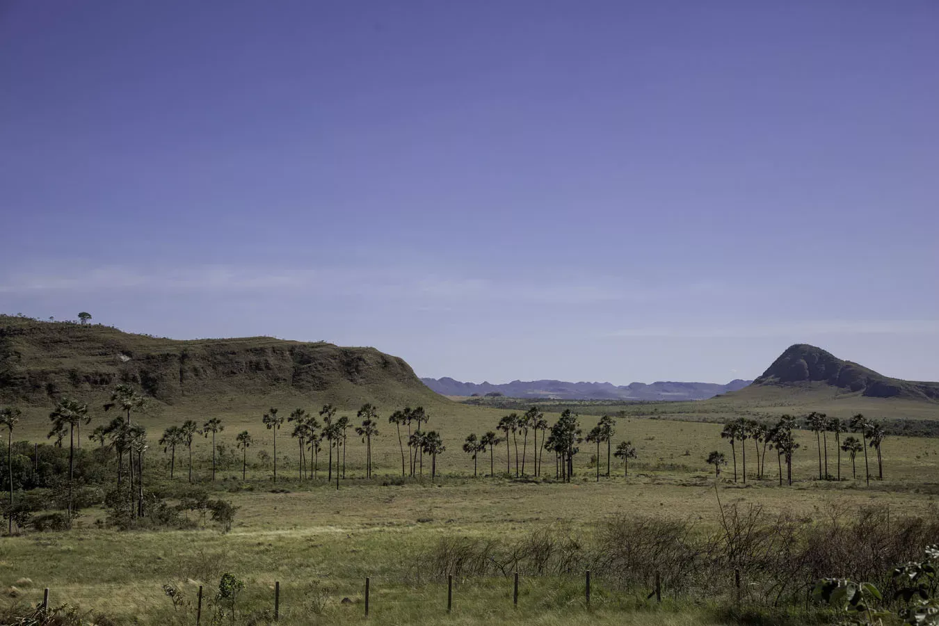 Chapada do Veadeiros