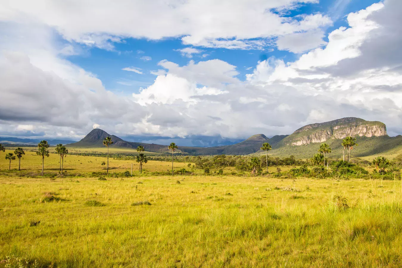 Chapada dos Veadeiros