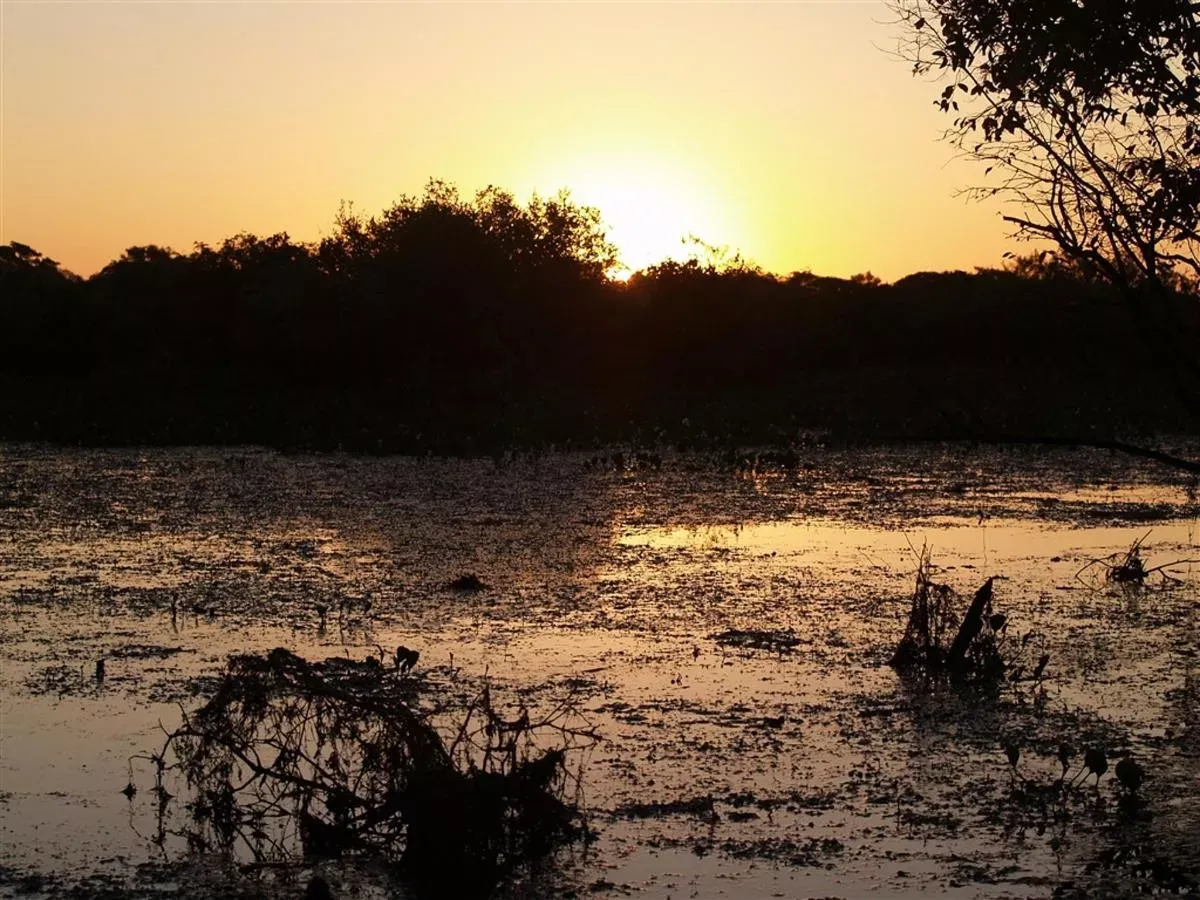 Mato Grosso