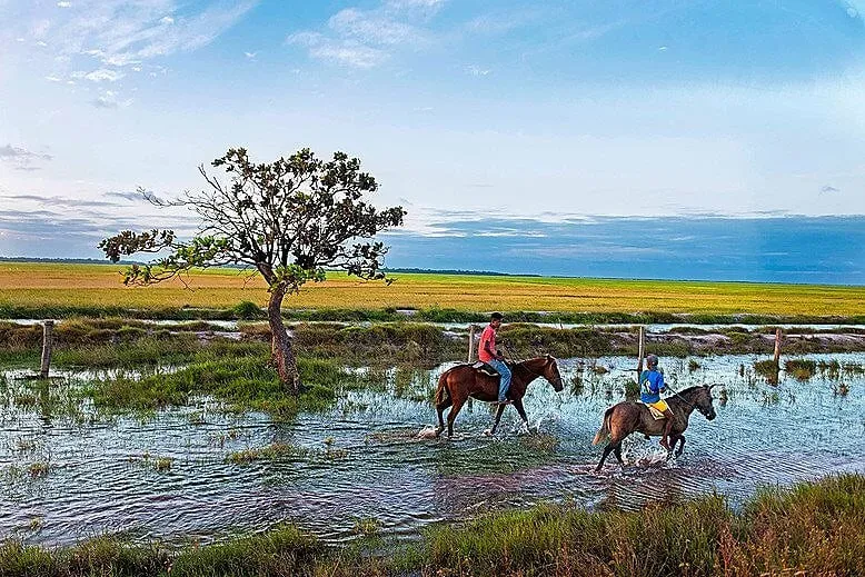 Norte - Brasil