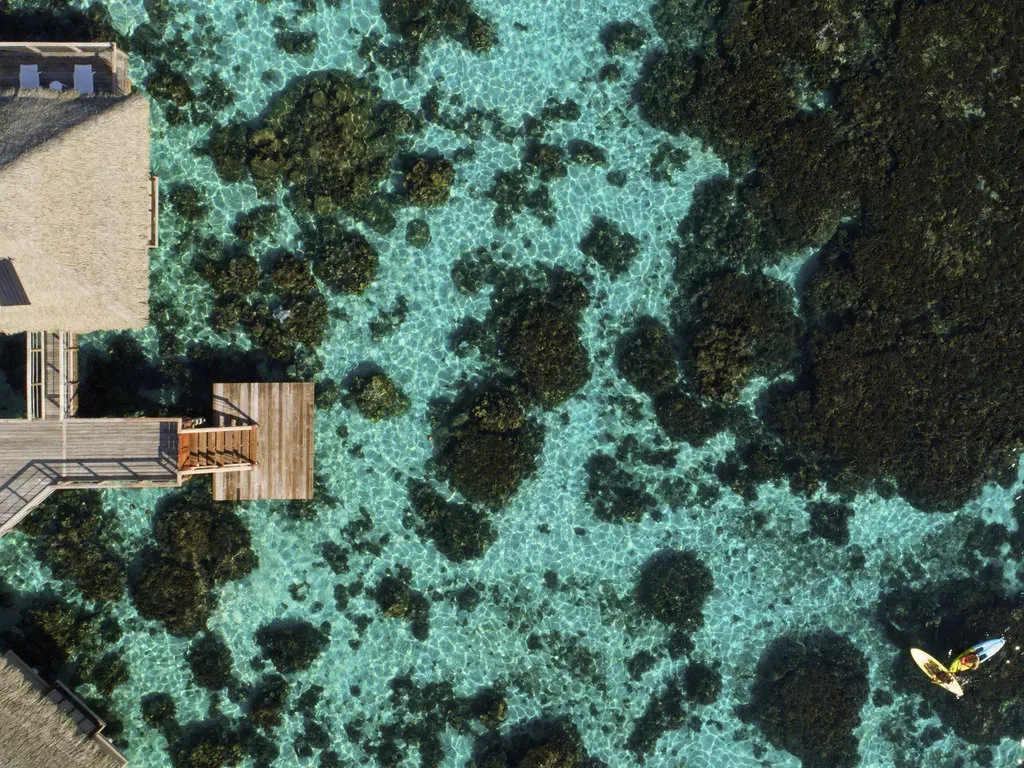 Moorea & Bora Bora