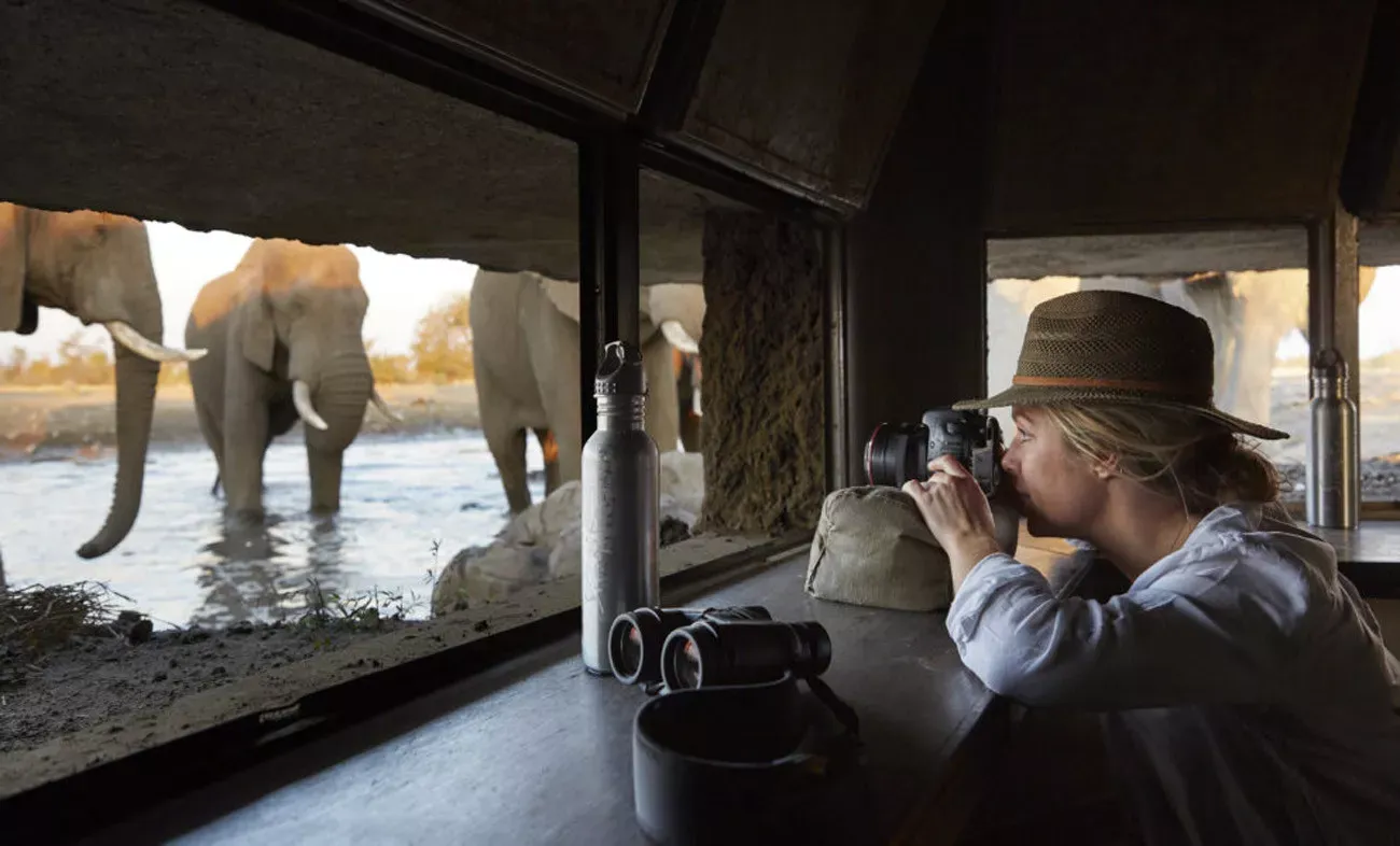 Safári Singita Lodges & Reserves