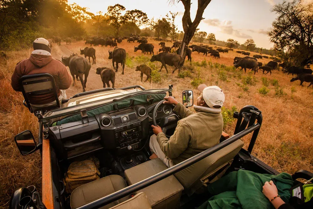 Elopement Wedding no Sabi Sabi Luxury Safari Lodges