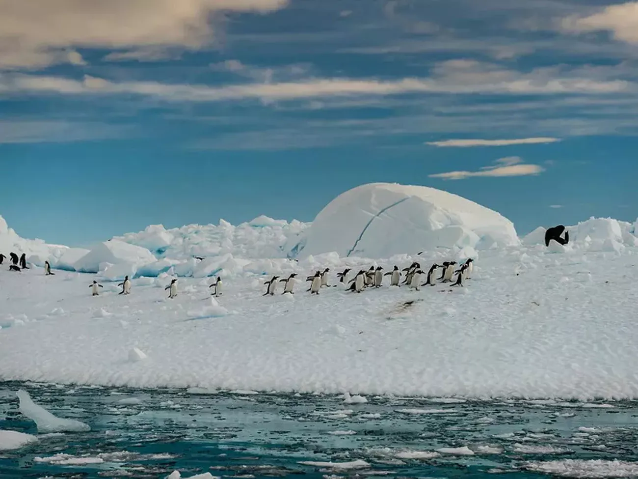 Classic Antártica Air Cruise