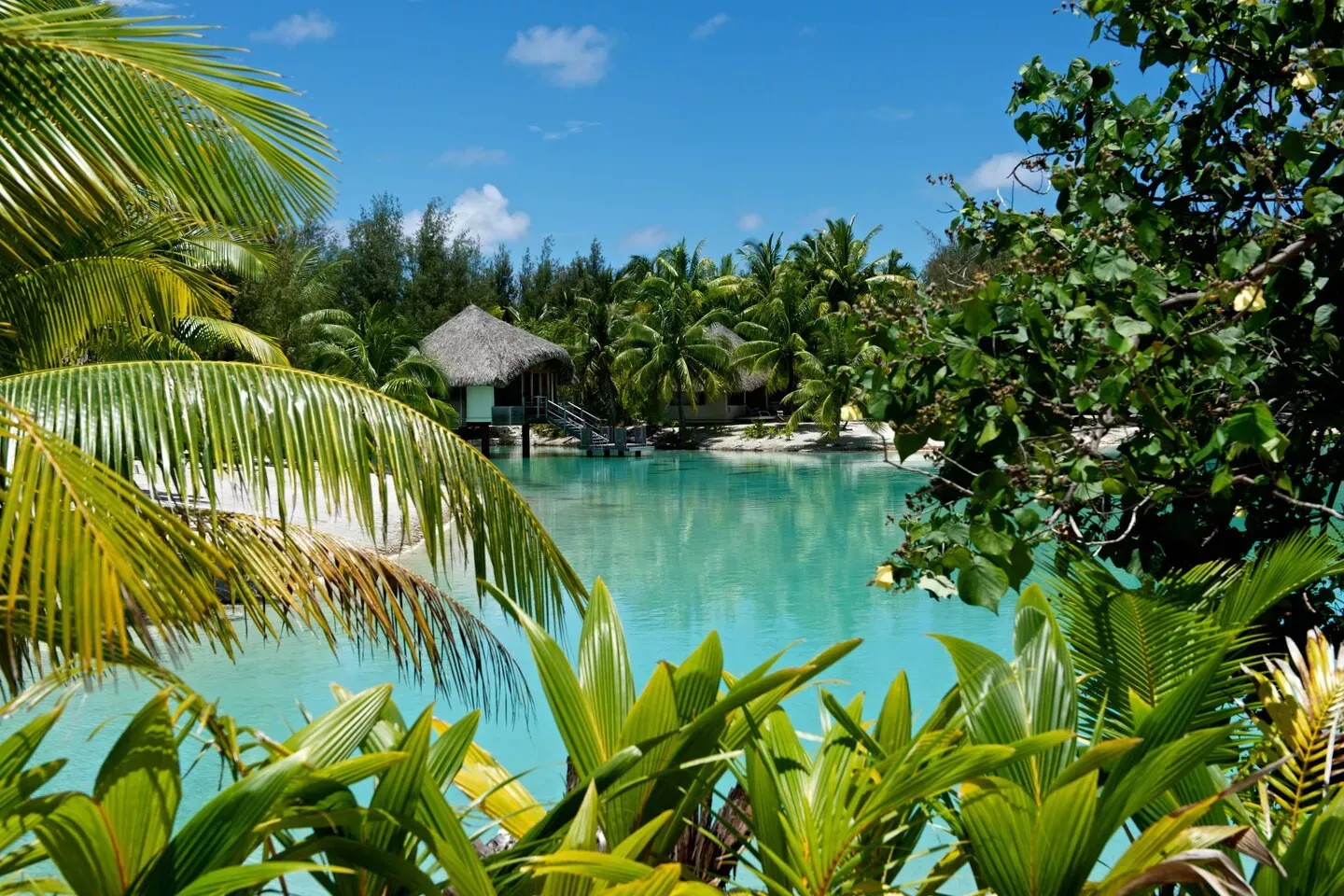 Moorea & Bora Bora