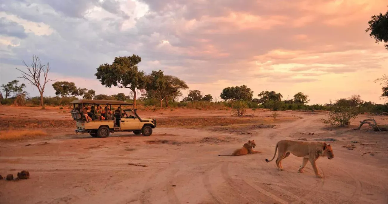 Botswana com Delta do Okavango e Reserva Moremi