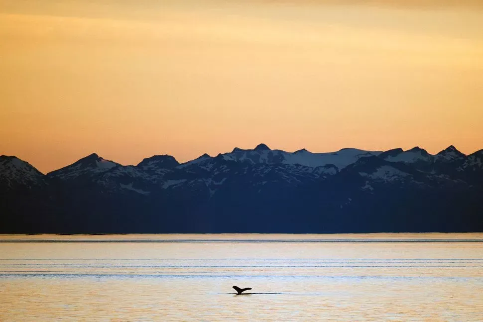 Silversea Vancouver a Seward