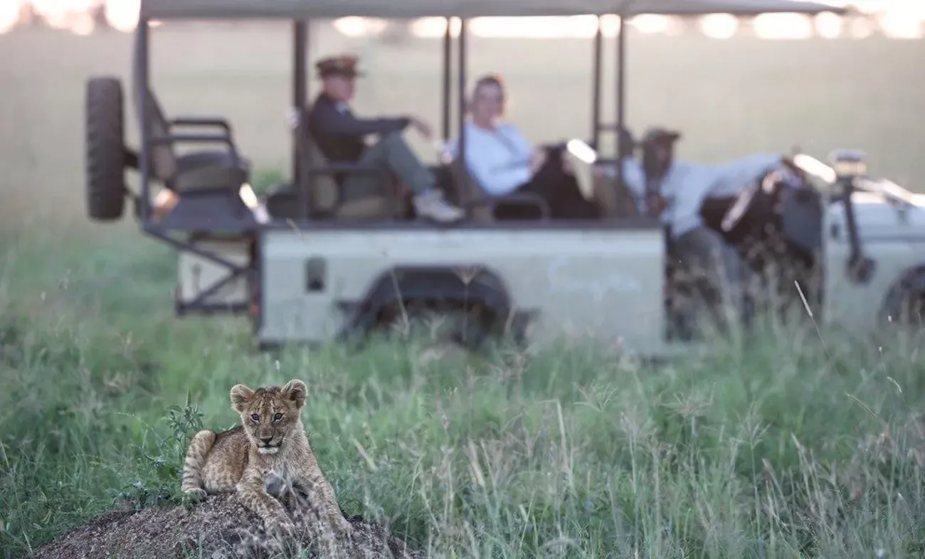 Safári Singita Lodges & Reserves