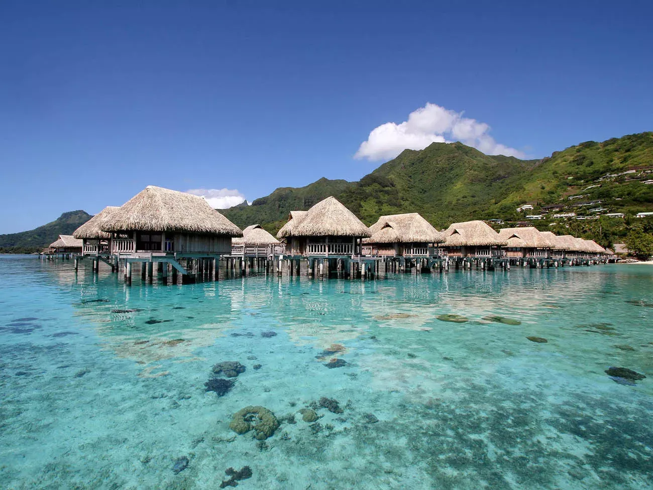 Moorea & Bora Bora