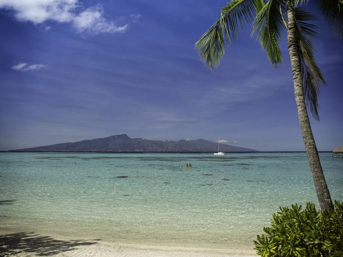 Moorea & Bora Bora