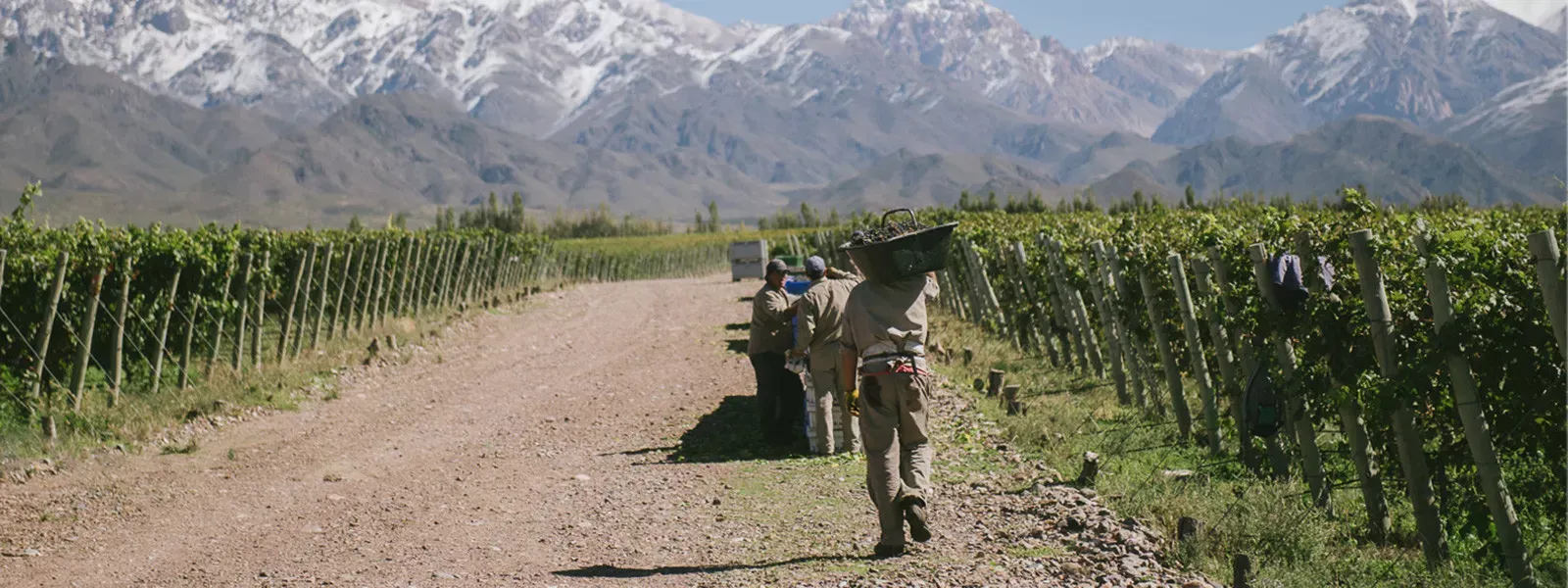 Mendoza Vale de Uco