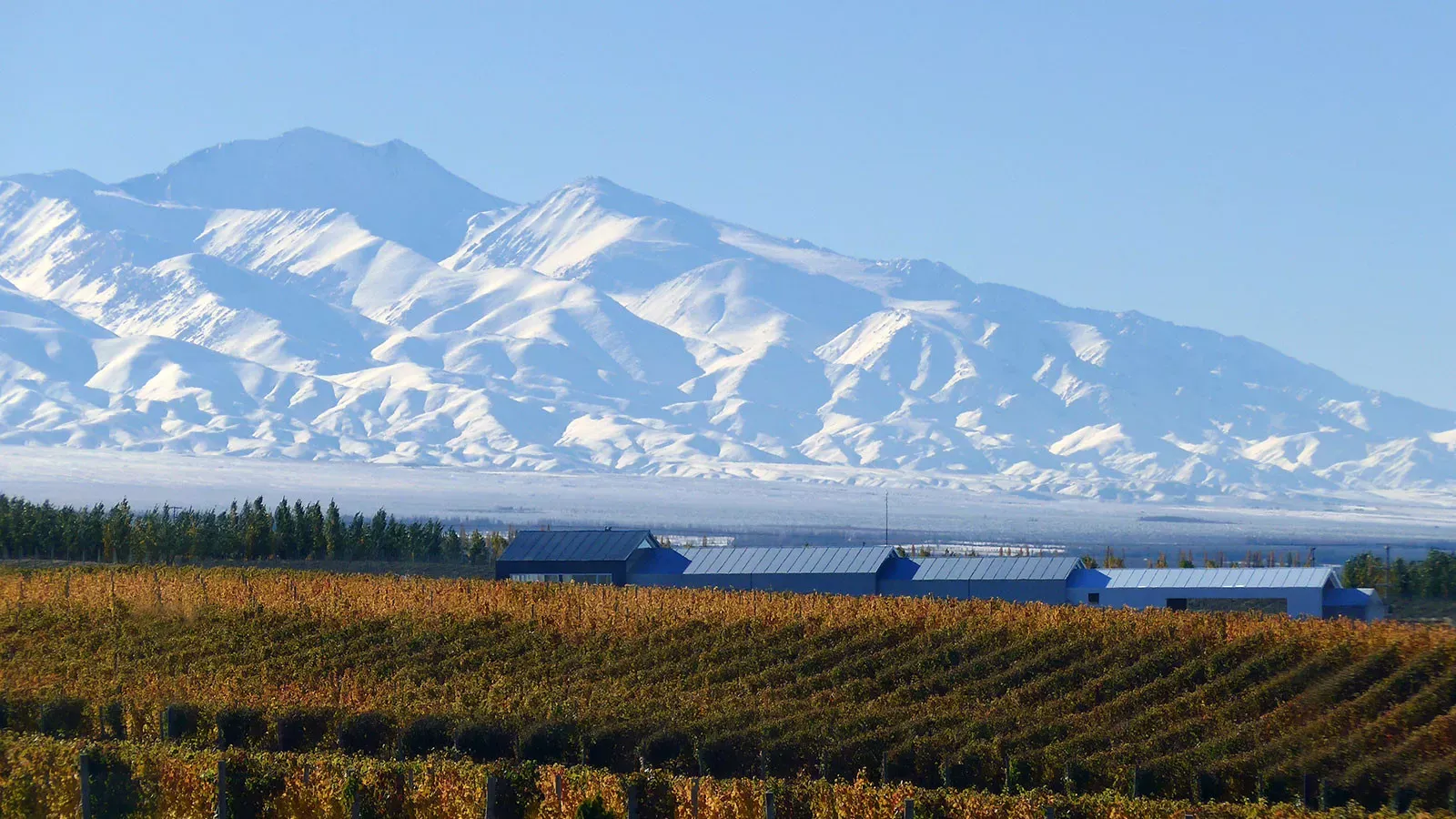 Mendoza Vale de Uco