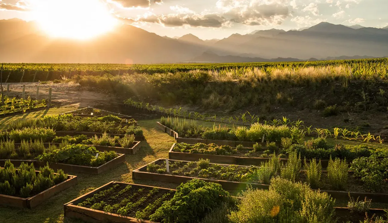Mendoza Vale de Uco