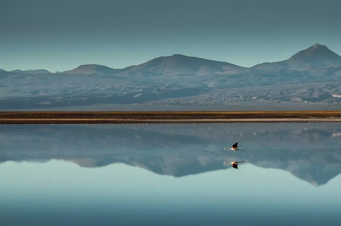 Awasi Atacama Relais & Chateuax