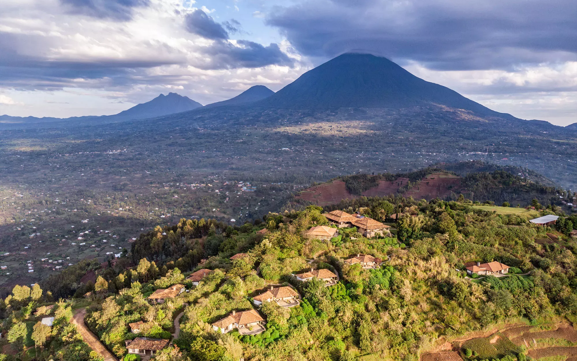 Gorilas em Ruanda
