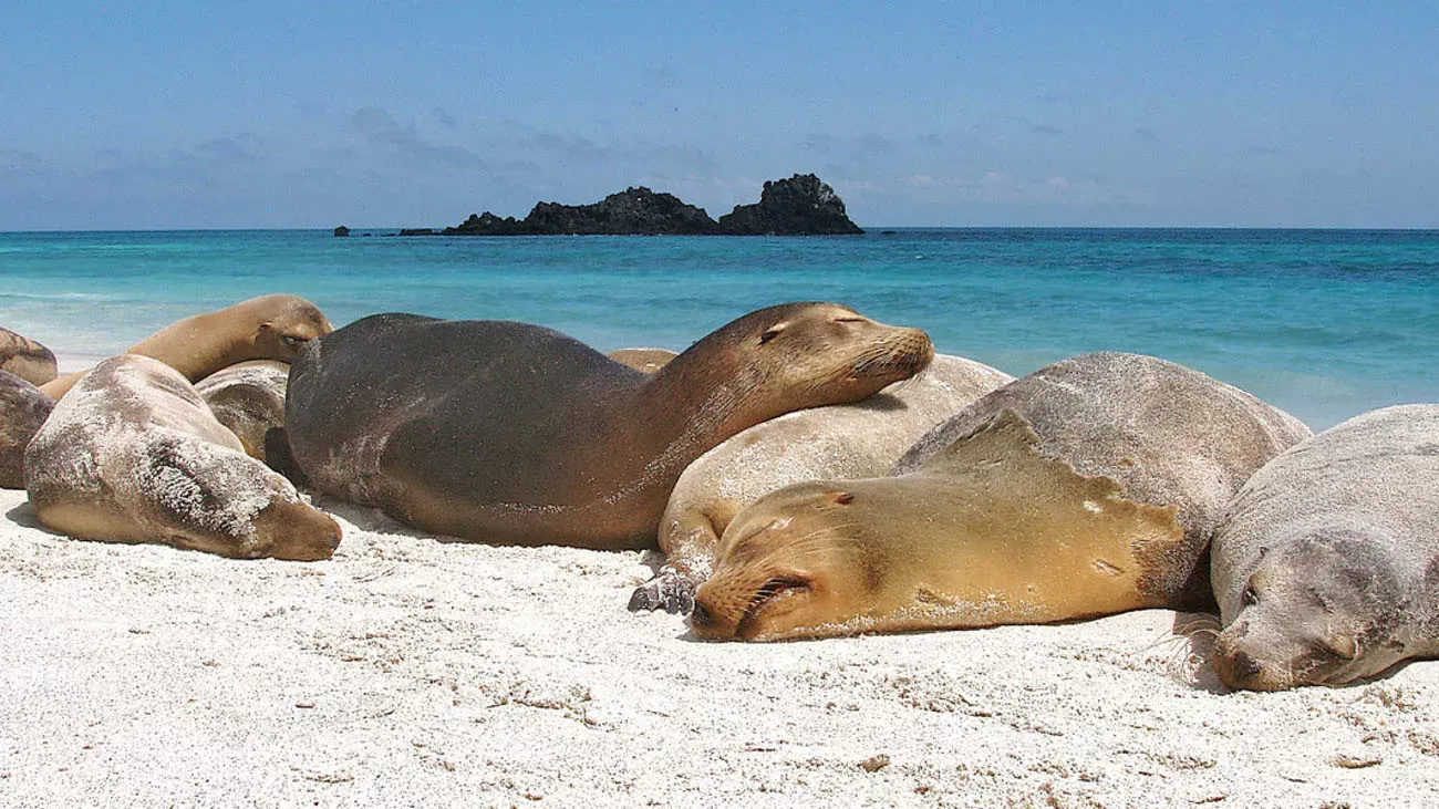 Galápagos e Quito 