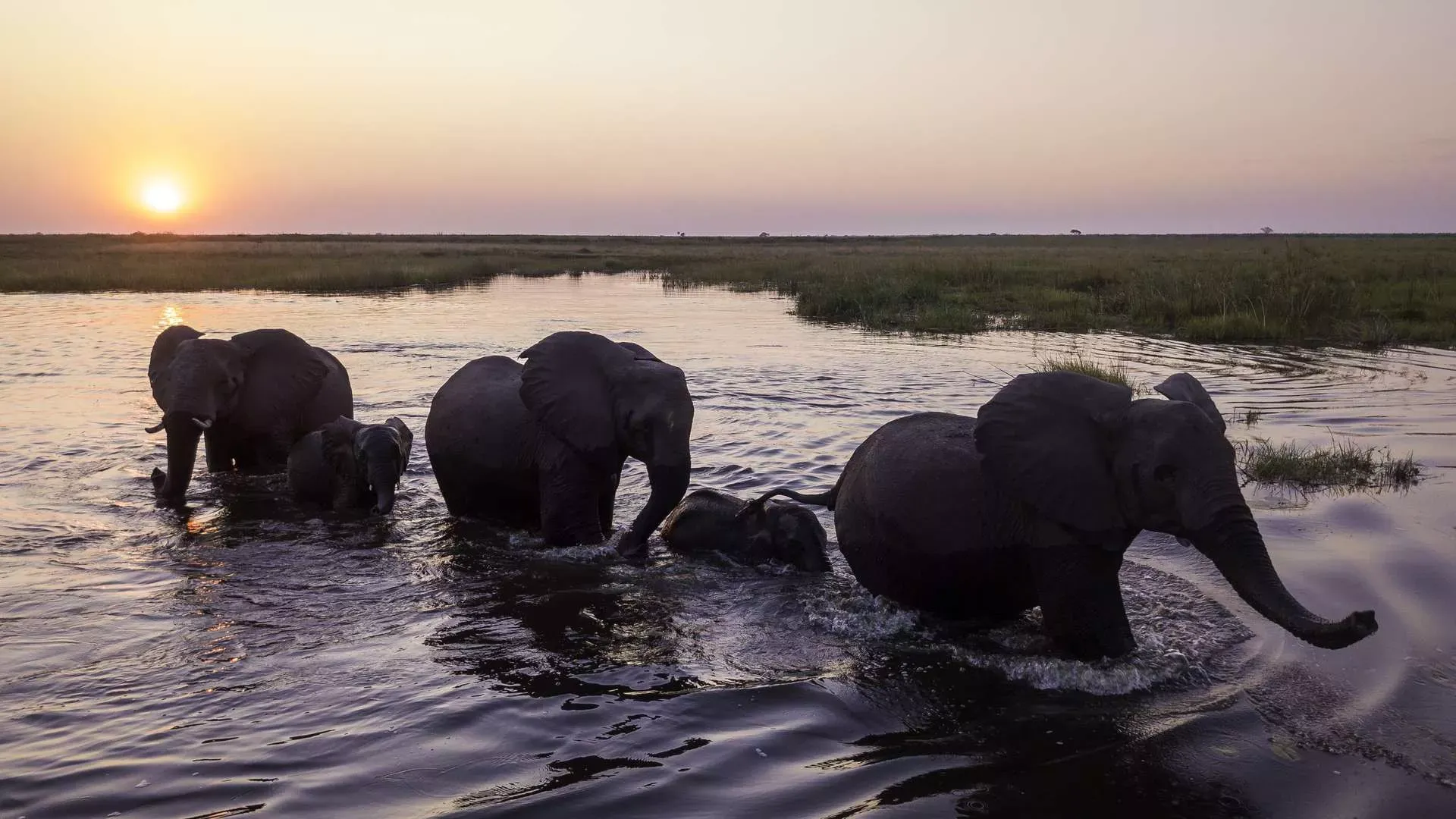 Botswana By Wilderness Safaris 