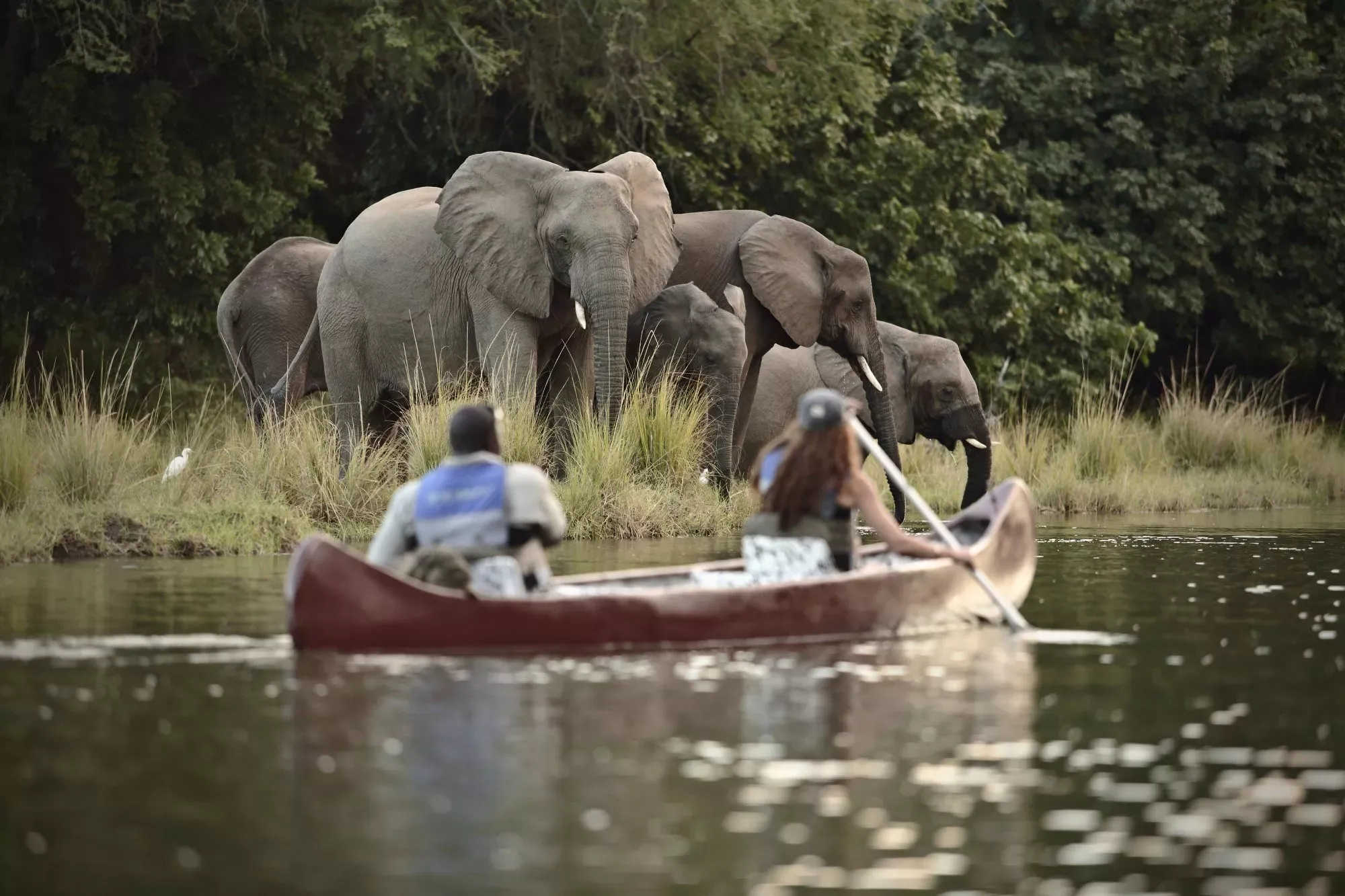 Safári na Zâmbia e Victoria Falls