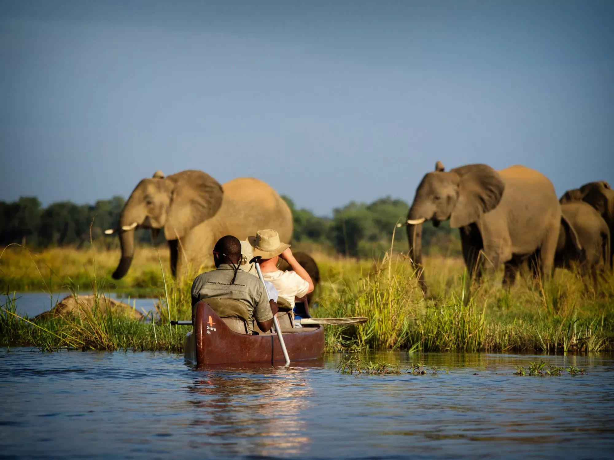 Safári na Zâmbia e Victoria Falls
